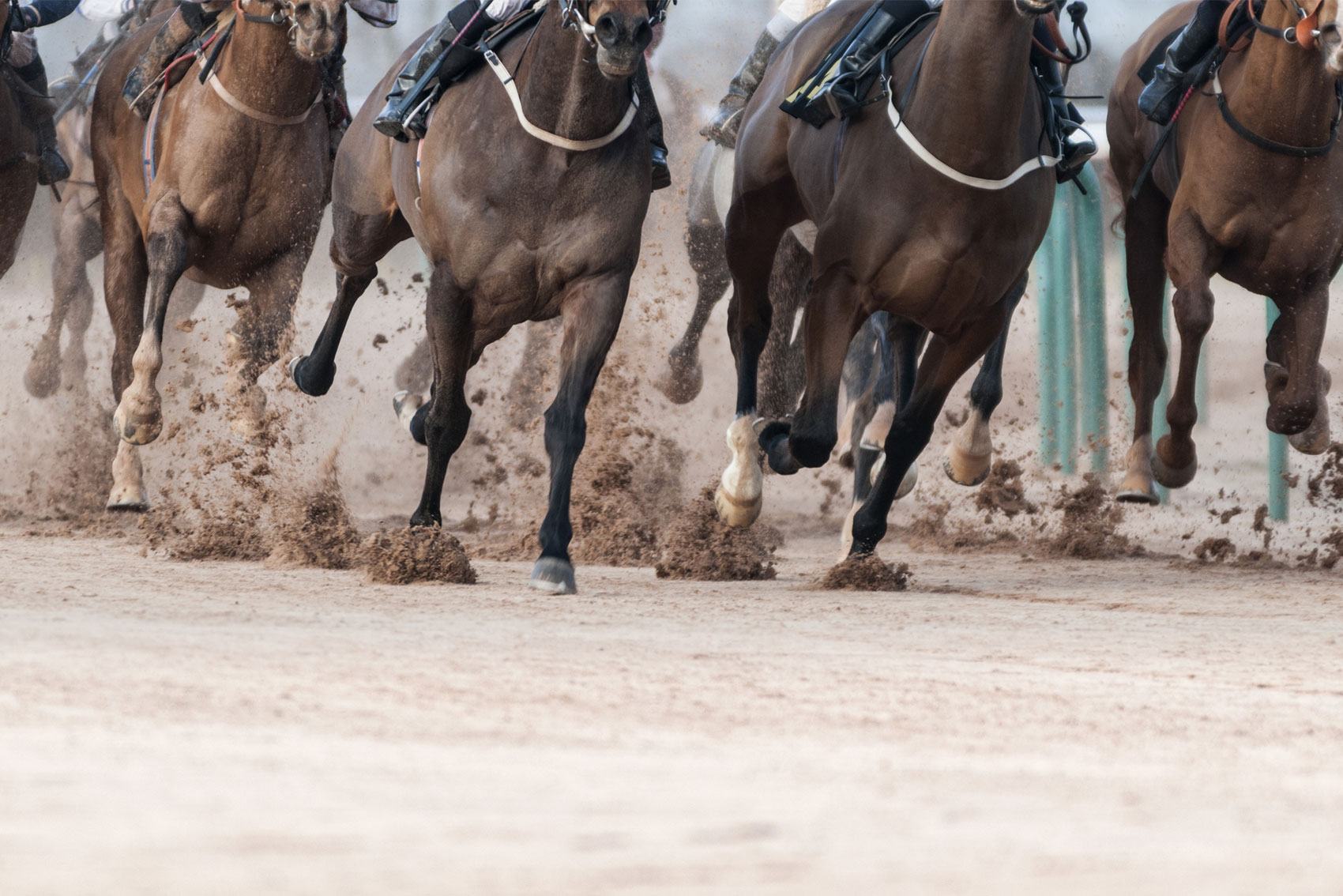 🏇Ready to win the Derby Season? Your Face Should Steal The Show 💃🏻
